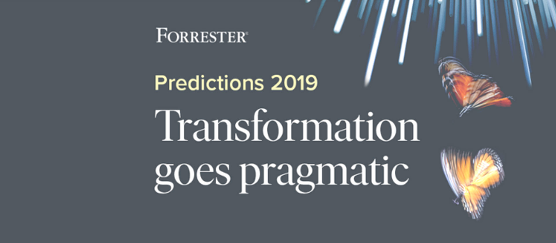 Forrester predictions 2019 annoucement