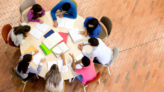 A group of eight people studying